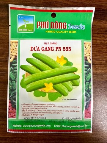  Hạt giống dưa gang PN 555 