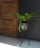  Chậu trồng cây thông minh Skypot 