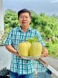  Phân bón lá NPK sinh học Ecovic Amino Chai 500ml 