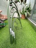  Khung vòm trồng rau ăn lá cao 60cm rộng 65cm 