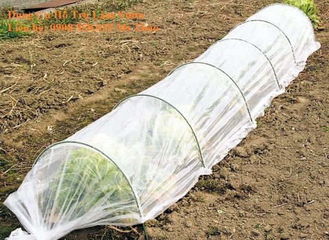  Màng phủ nông nghiệp - màng nilong khổ 2 met 