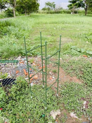  Khung đỡ cây vuông cạnh 28cm 