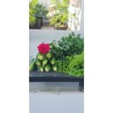  Phân trùn quế nguyên chất Lavamix 