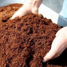  Giá thể mụn dừa Happi green 2kg 