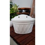 Chậu nhựa áp tường Daiwa 