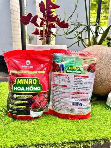  Phân hữu cơ minro 70OM hoa hồng 
