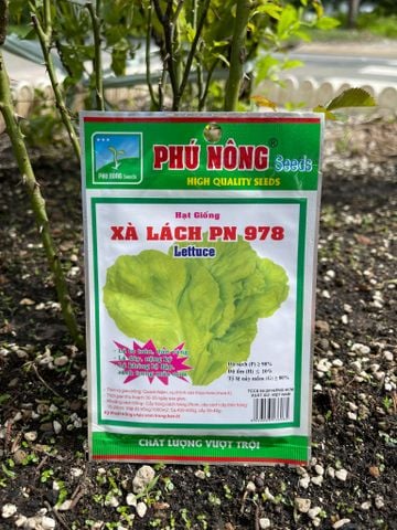  Hạt giống xà lách PN 978 