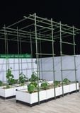  Ống thép bọc nhựa Daim phi 16 