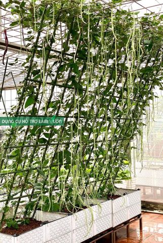  Ống thép bọc nhựa Daim phi 20 