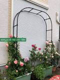  Khung vòm cổng trồng hoa hồng cao 210cm  chiều sâu 31cm 