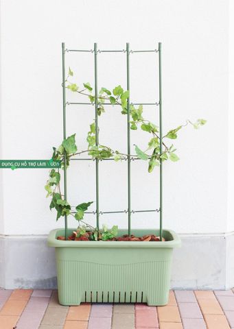  Giàn leo cho cây rộng 45cm cao 120cm Daim 