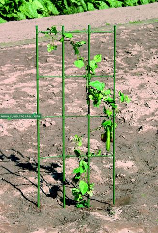  Giàn leo cho cây rộng 45cm cao 150cm Daim 
