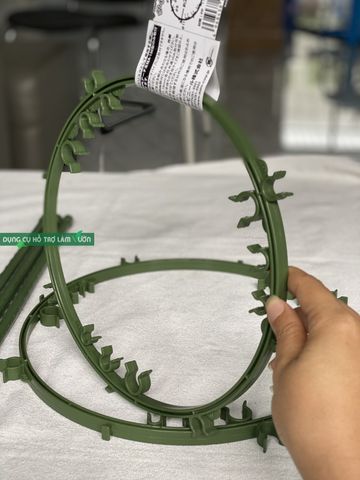  Vòng giữ thân cây Daim 