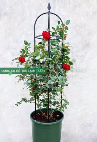  Khung hoa tháp chuông Daim cao 160cm 