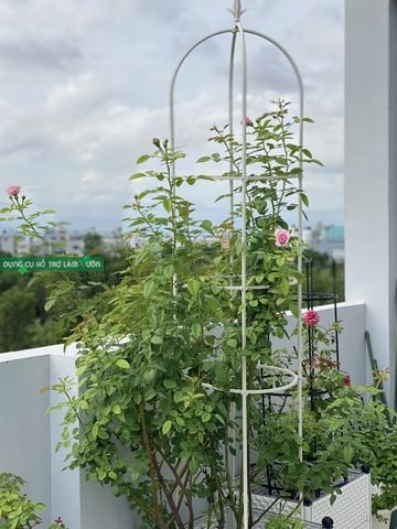  Khung hoa tháp chuông Daim cao 210cm 