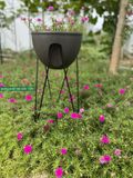  Chậu trồng cây thông minh Skypot 