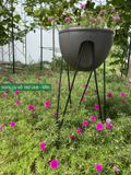  Chậu trồng cây thông minh Skypot 