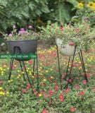  Chậu trồng cây thông minh Skypot 