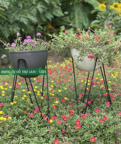  Chậu trồng cây tự tưới Skypot Daim - Giải pháp cho người bận rộn. 