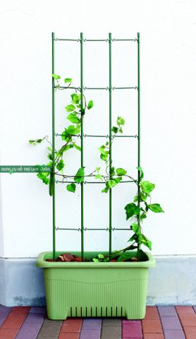  Giàn leo cho cây rộng 45cm cao 150cm Daim 