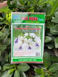  Hạt giống cà pháo trắng PN123 