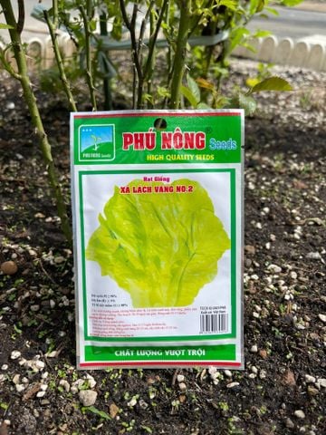  Hạt giống xà lách vàng NO 2 