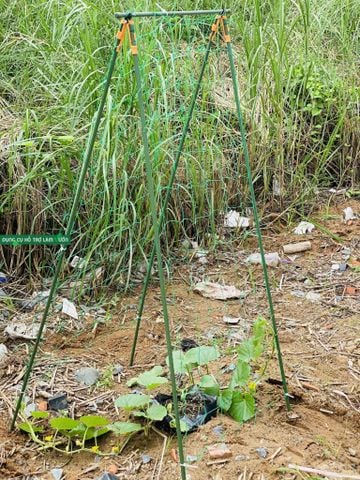  Giàn leo chữ A Daim dài 60cm cao 180cm ống thép bọc nhựa phi 11 