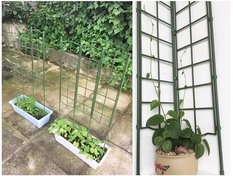  Khung hoa leo rộng 45cm cao 75cm Daim 