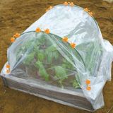  Màng phủ nông nghiệp - màng nilong khổ 2 met 
