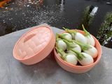  Hạt giống cà pháo trắng PN123 