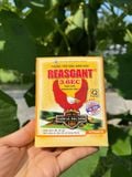  Thuốc trừ sâu đục thân Reasgant gói 10ml 