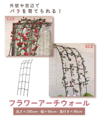  Khung hoa dựa tường rộng 90cm cao 290cm Daim 