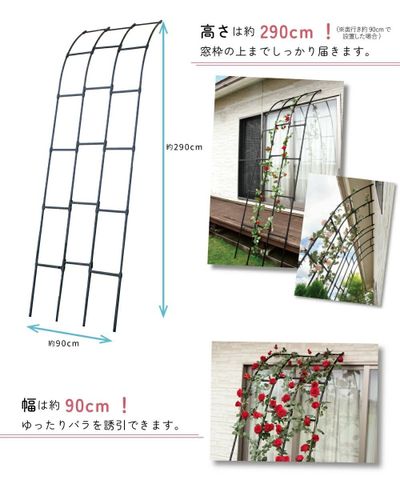  Khung hoa dựa tường rộng 90cm cao 290cm Daim 
