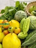  Phân bón hữu cơ sinh học Minro (viên nở) 