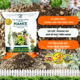  Giá thể xương rồng sen đá Namix 