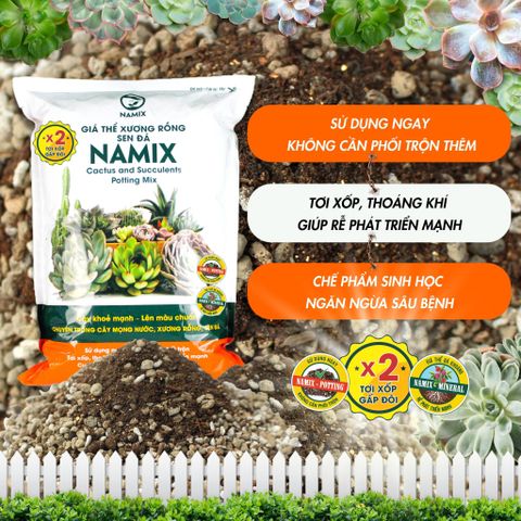 Giá thể xương rồng sen đá Namix 