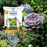  Giá thể xương rồng sen đá Namix 