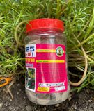  Dinh dưỡng Thủy Canh Hydro Umat V 1L (A+B) rau ăn lá 