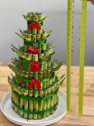  Đĩa nhựa tròn lót chậu cây 