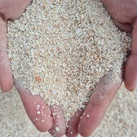  Vỏ trứng gà Sfarm đã xử lý gói 1kg 