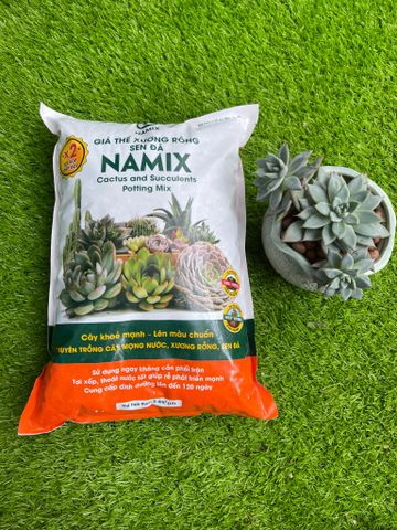  Giá thể xương rồng sen đá Namix 