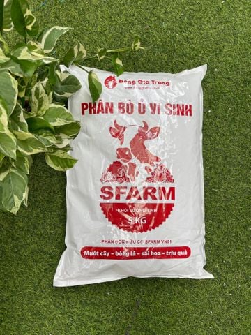  Phân bò ủ vi sinh Sfarm 5kg 