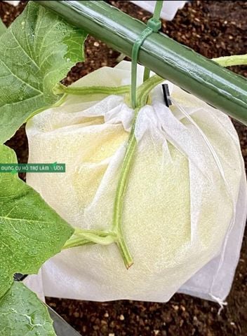  Dây rút nhựa màu xanh lá 