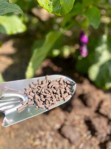  Phân hữu cơ Minro 700m mai vàng 