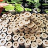  Viên ươm hạt xơ dừa 