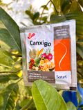  Phân bón canxi bo giúp cây cứng cáp đậu trái chống rụng hoa 