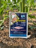  Thuốc trừ sạch khuẩn cây trồng Parosa 325wp gói 25gr 