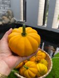  Phân bón hữu cơ sinh học Minro (viên nở) 
