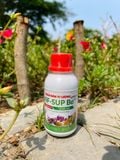  Phân Cá biển tươi (Phân bón vi lượng ViF-SUP Bo) 