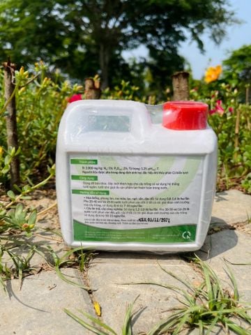  Phân Cá biển tươi (Phân bón vi lượng ViF-SUP Bo) 